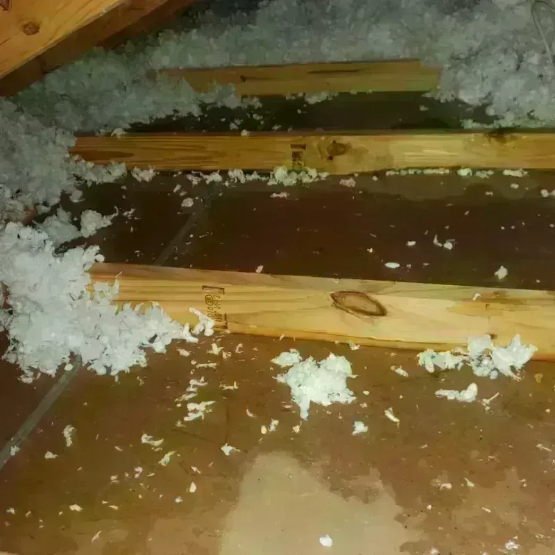 Attic Water Damage in Walton, IN