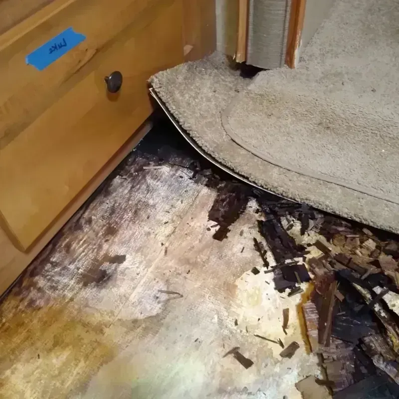 Best Wood Floor Water Damage Service in Walton, IN